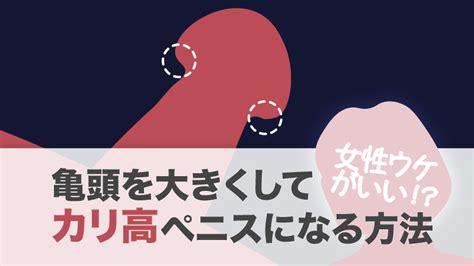 ちんこ 細い|亀頭（カリ）が小さい・細いことによる5つのデメリットを医学。